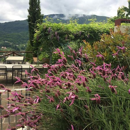 Agriturismo Braccicorti Hotel Pieve Fosciana Exterior photo