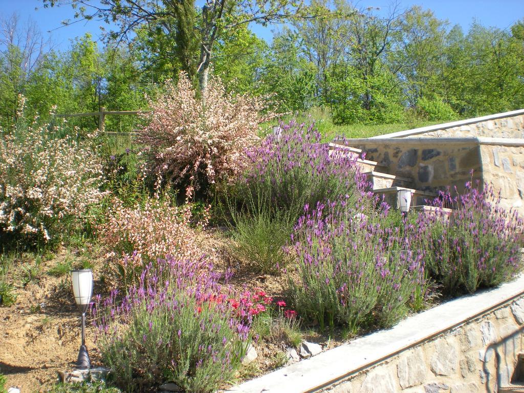 Agriturismo Braccicorti Hotel Pieve Fosciana Exterior photo
